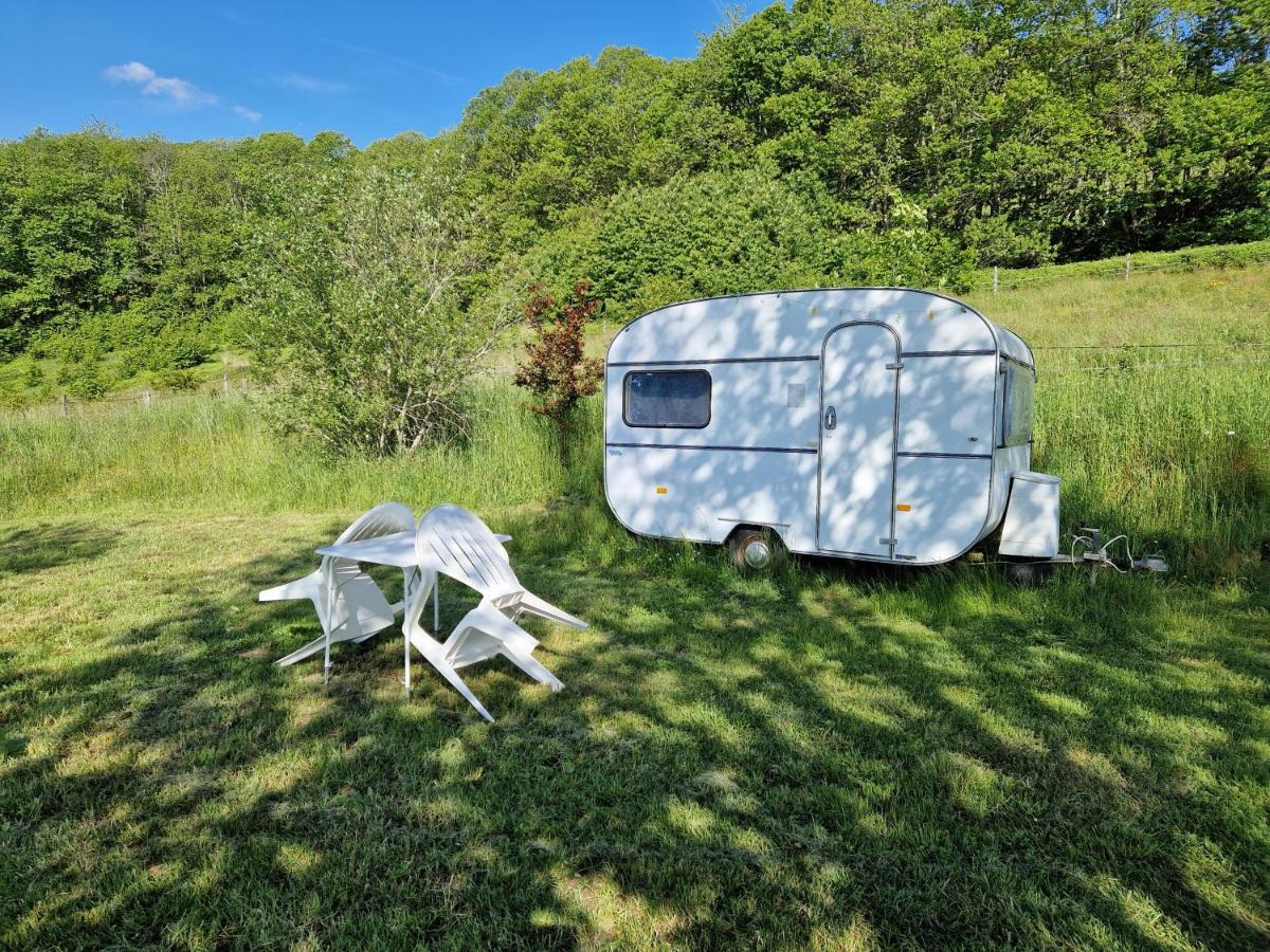 Camping La Foret Du Morvan Vintage Caravan Larochemillay Buitenkant foto